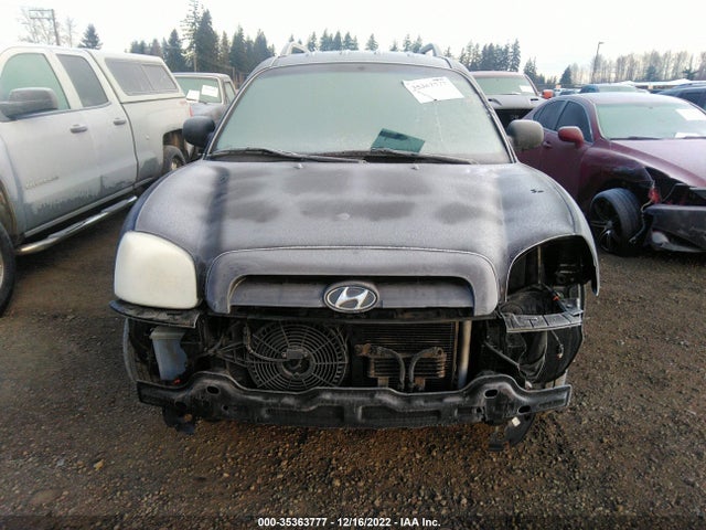 2005 HYUNDAI SANTA FE GLS VIN: KM8SC13D95U971854