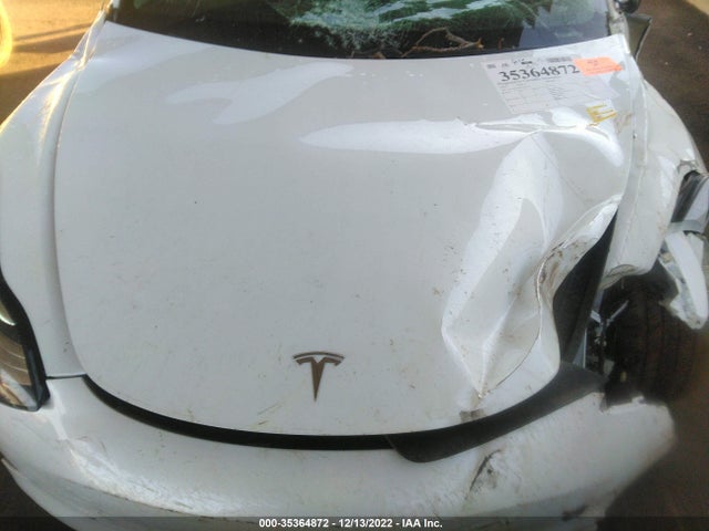 Tesla Model 3 Range 2019 5YJ3E1EA3KF436254 Image 10