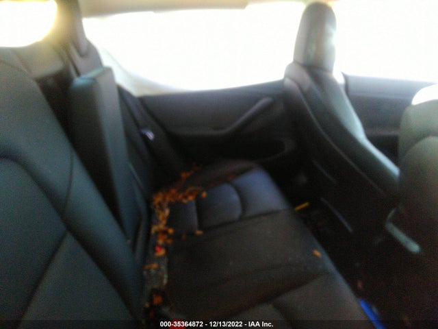 Tesla Model 3 Range 2019 5YJ3E1EA3KF436254 Image 8