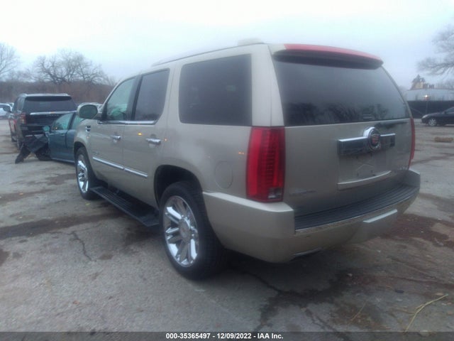 Cadillac Escalade Platinum 2014 1GYS4DEF8ER190161 Image 3
