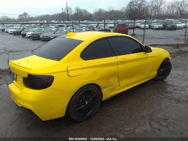 BMW 2 Series 228i 2015 WBA1F9C5XFVW98625 Image 4
