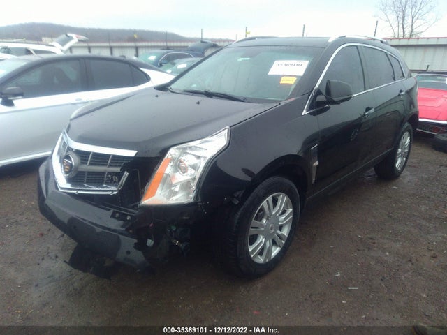 2010 CADILLAC SRX LUXURY COLLECTION VIN: 3GYFNAEY0AS641900