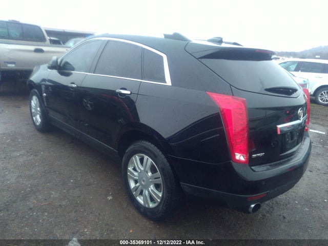 2010 CADILLAC SRX LUXURY COLLECTION VIN: 3GYFNAEY0AS641900
