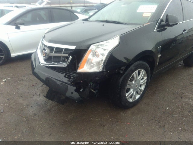 2010 CADILLAC SRX LUXURY COLLECTION VIN: 3GYFNAEY0AS641900