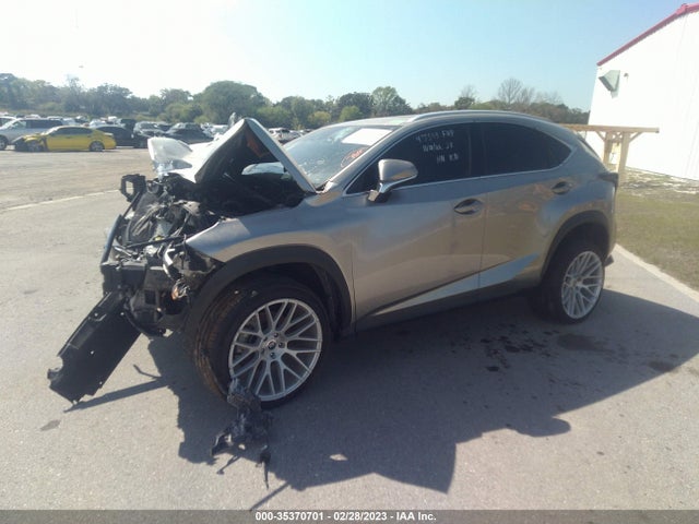 2020 Lexus NX, VIN: JTJGARBZ5L5015559