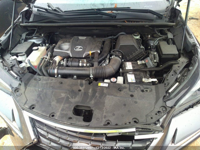 2020 LEXUS NX NX 300 VIN: JTJGARBZ9L5016777