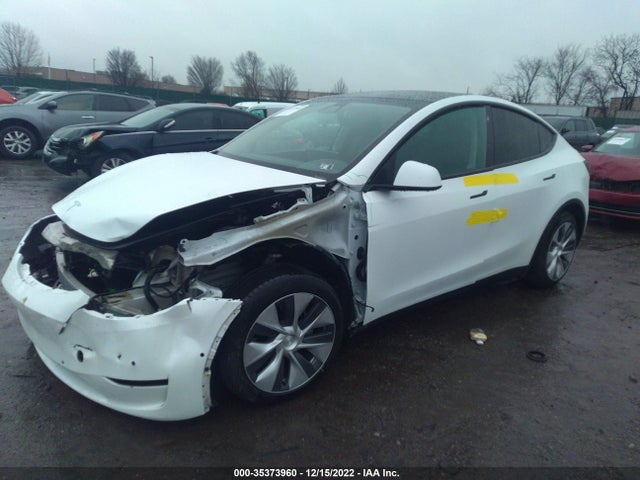 Tesla Model Y 2021 5YJYGDEE2MF068379 Image 2