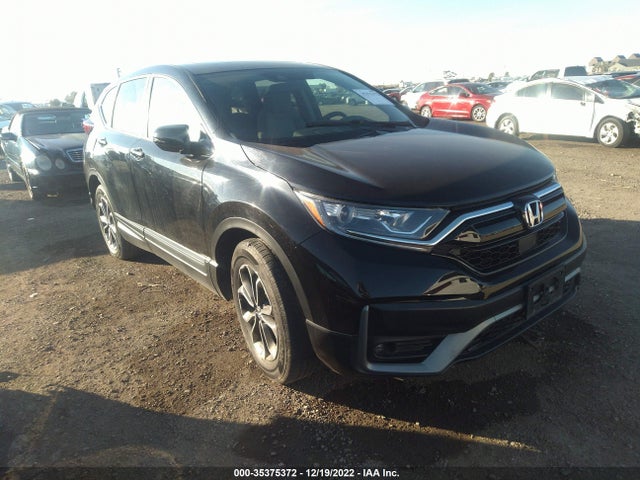 2020 5J6RW1H51LA012811 main image
