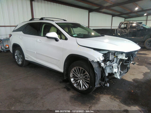 2020 Lexus RX, VIN: JTJJGKFA9L2014979