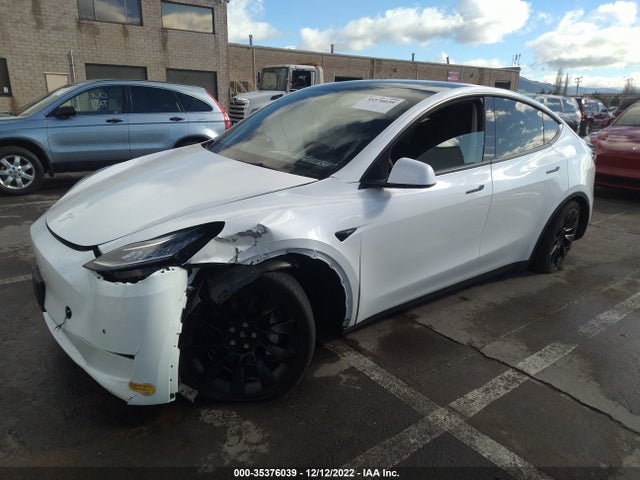 2021 Tesla Model Y, VIN: 5YJYGAEE0MF244344
