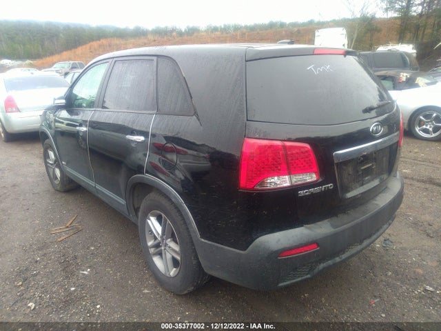 2011 KIA SORENTO LX VIN: 5XYKTCA10BG010503