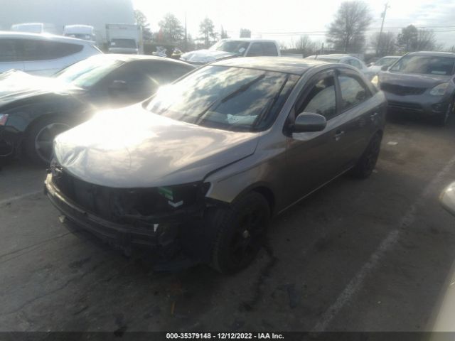 KNAFU4A24D5668248 KIA FORTE EX