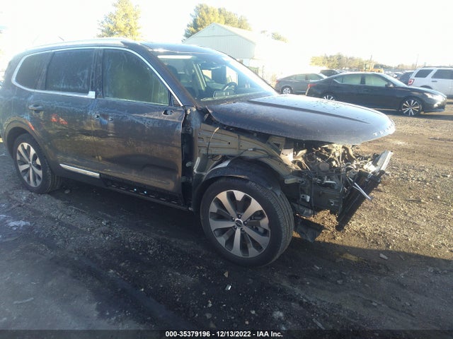 2022 Kia Telluride, VIN: 5XYP34HC4NG259121