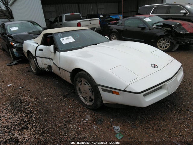 1989 CHEVROLET CORVETTE VIN: 1G1YY3183K5123842