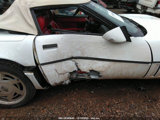 1989 CHEVROLET CORVETTE VIN: 1G1YY3183K5123842
