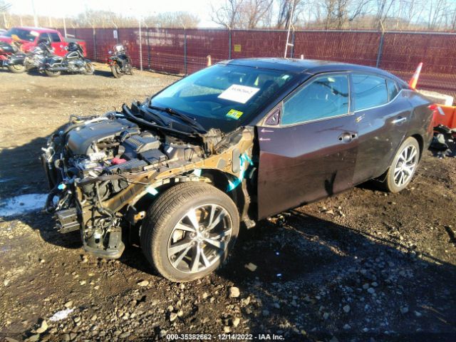 1N4AA6AP5GC392066 Nissan Maxima 3.5 Sl