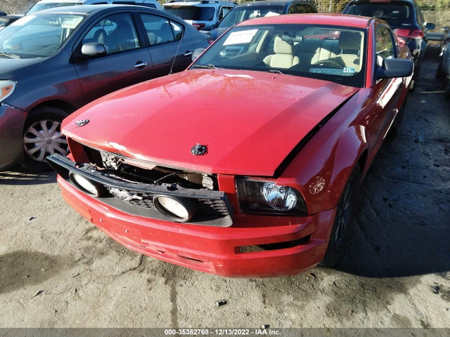 2006 FORD MUSTANG STANDARD/DELUXE/PREMIUM VIN: 1ZVFT80N065199149