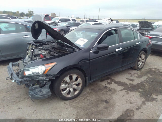 2008 HONDA ACCORD SDN EX-L VIN: 1HGCP36828A028445
