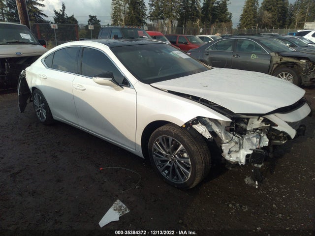 2020 Lexus ES, VIN: 58ADZ1B18LU063786