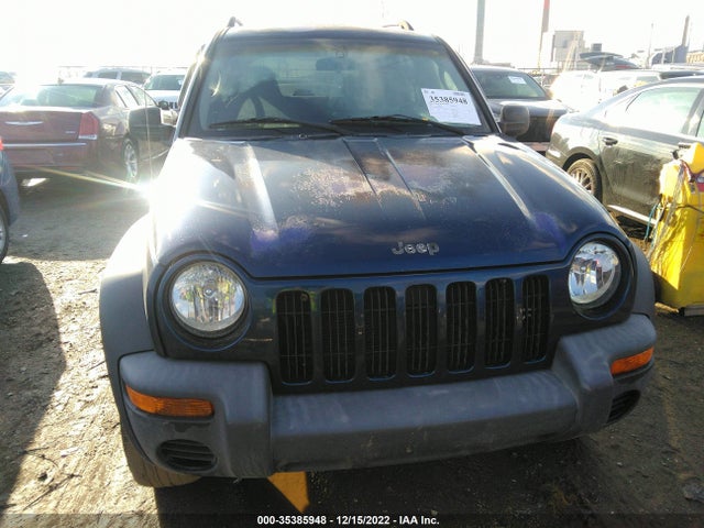 2002 JEEP LIBERTY SPORT VIN: 1J4GL48K72W261963