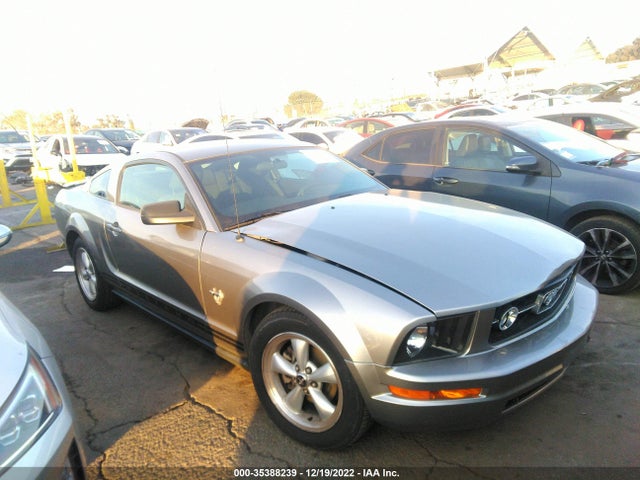 2009 FORD MUSTANG VIN: 1ZVHT80N695101464