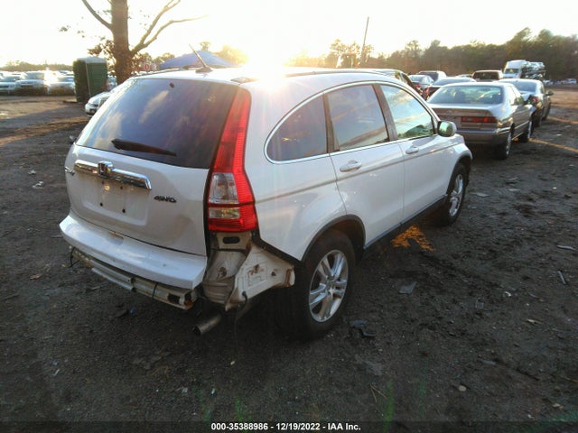 2010 HONDA CR-V EX-L VIN: 5J6RE4H77AL092459