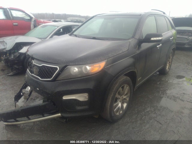 2013 KIA SORENTO SX VIN: 5XYKWDA2XDG398445