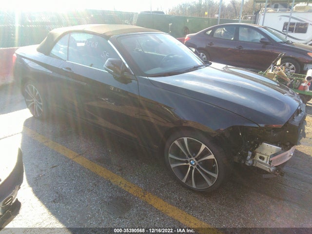 2018 BMW 2 Series, VIN: WBA2K1C51JVD41167