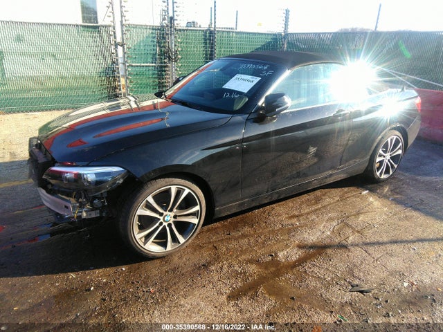 2018 BMW 2 Series, VIN: WBA2K1C51JVD41167