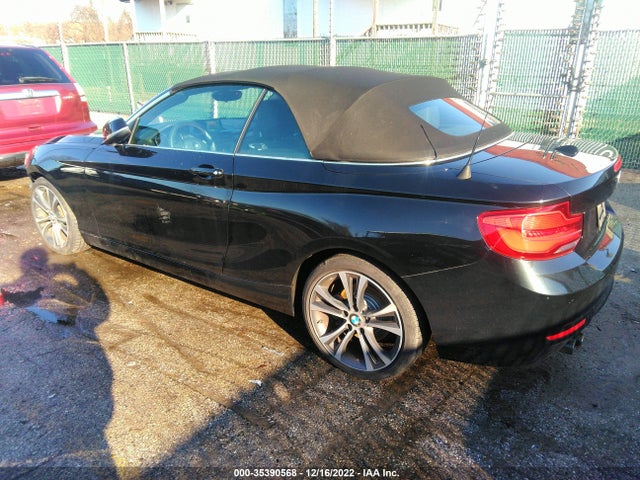 2018 BMW 2 Series, VIN: WBA2K1C51JVD41167