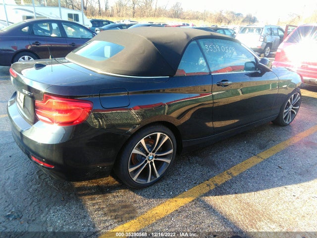2018 BMW 2 Series, VIN: WBA2K1C51JVD41167