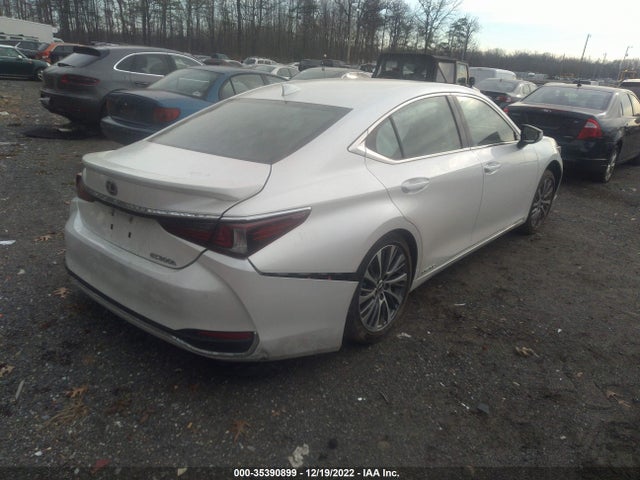 2020 Lexus ES, VIN: 58AD21B16LU007690