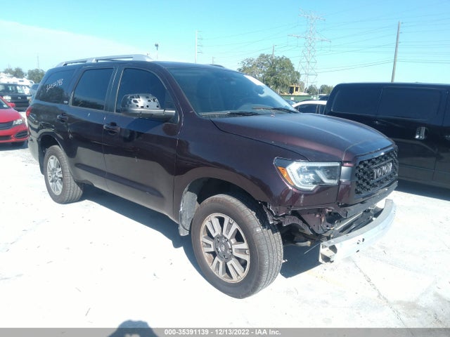 2019 Toyota Sequoia, VIN: 5TDBY5G1XKS169181