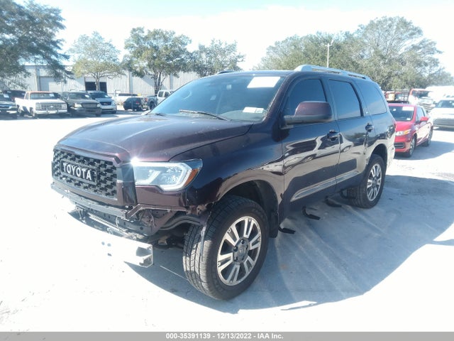 2019 Toyota Sequoia, VIN: 5TDBY5G1XKS169181