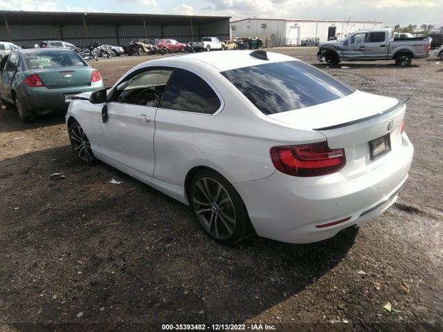 2014 BMW 2 Series, VIN: WBA1F5C57EVV99381