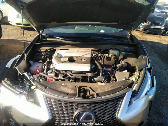 2019 Lexus UX, VIN: JTHU9JBH0K2002353