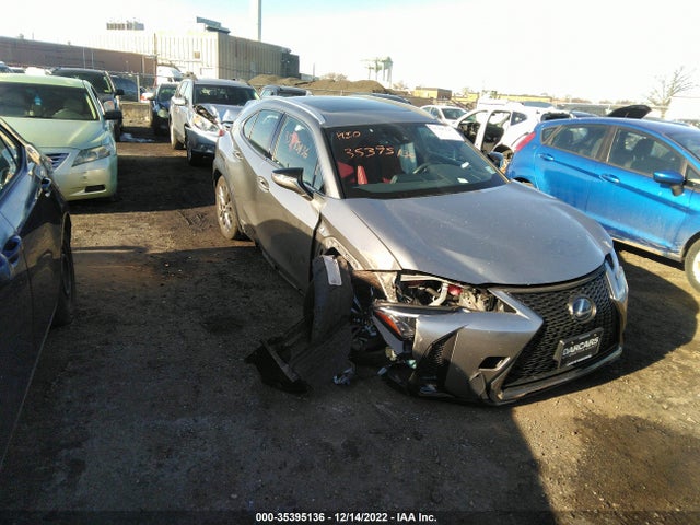 2019 Lexus UX, VIN: JTHU9JBH0K2002353