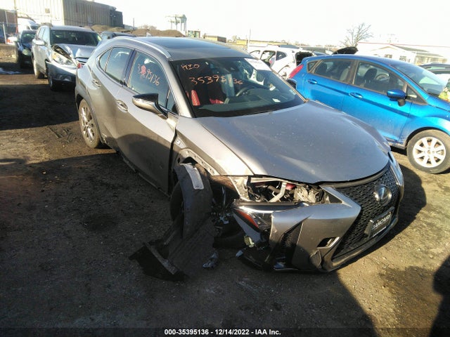2019 Lexus UX, VIN: JTHU9JBH0K2002353