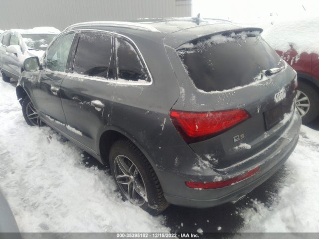 WA1CMAFP5EA126393 Audi Q5 Premium Plus