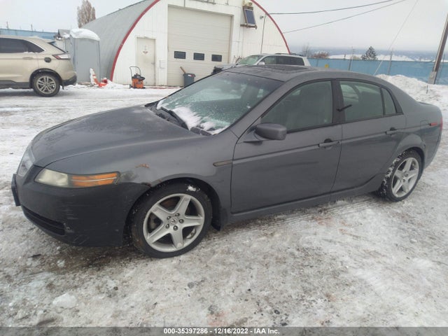 2006 ACURA TL VIN: 19UUA66286A007065