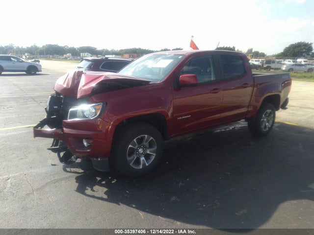 2019 CHEVROLET COLORADO 2WD Z71 VIN: 1GCGSDEN5K1217271