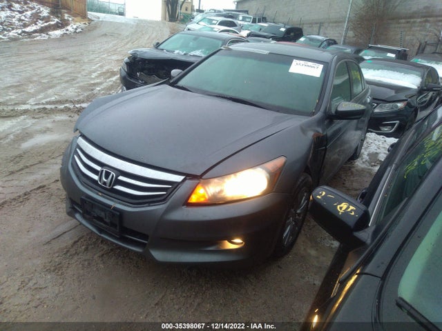 2011 HONDA ACCORD SDN EX-L VIN: 1HGCP3F85BA012036