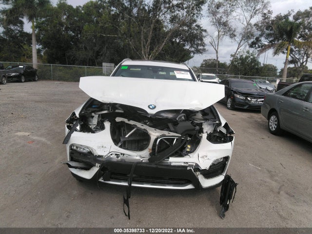 BMW X3 Sdrive30i 2019 5UXTR7C57KLR49337 Image 6