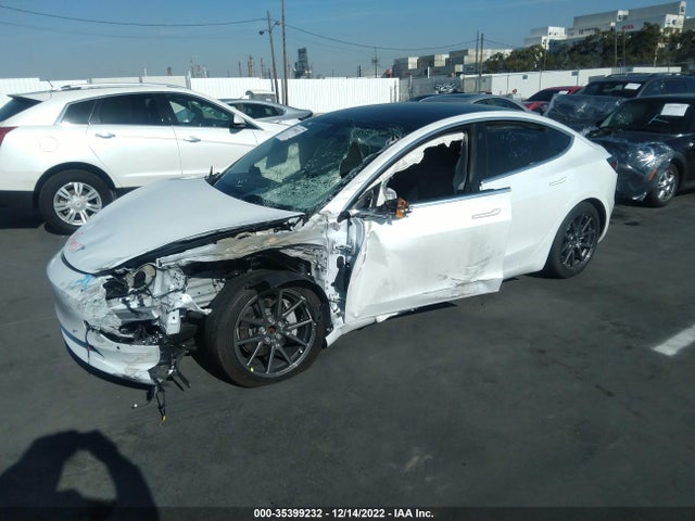 Tesla Model 3 Range 2019 5YJ3E1EA3KF484885 Image 2