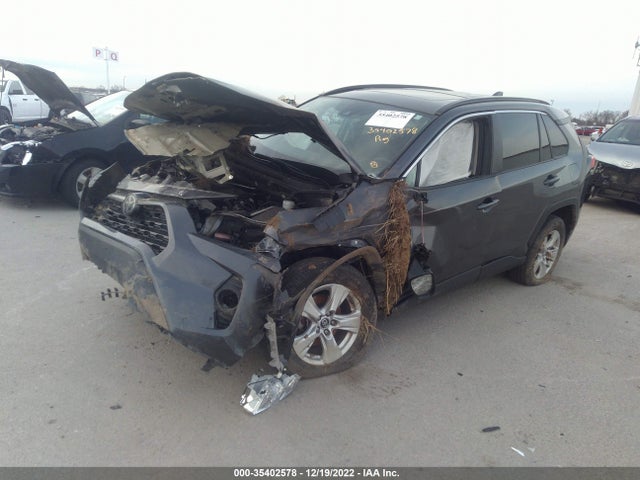 2019 Toyota RAV4, VIN: 2T3P1RFVXKW078156