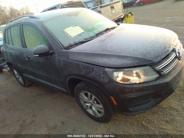 2016 Volkswagen Tiguan, VIN: WVGBV7AX4GW540016