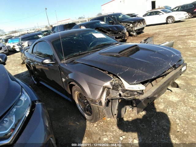 2004 FORD MUSTANG GT VIN: 1FAFP42X74F175152