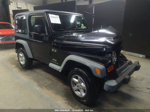 2003 JEEP WRANGLER X VIN: 1J4FA39S83P327040