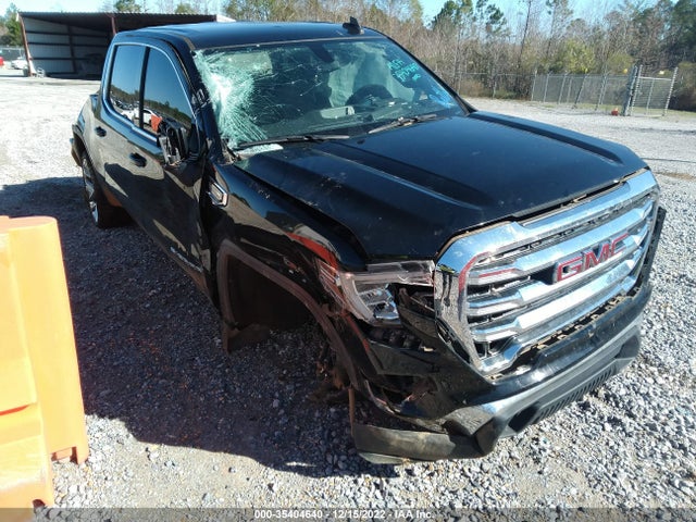 2020 GMC Sierra 1500, VIN: 3GTP8BEDXLG212676