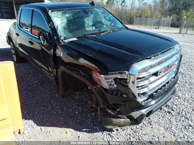 2020 GMC Sierra 1500, VIN: 3GTP8BEDXLG212676